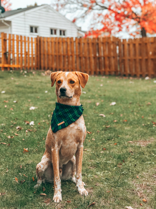 THE MILO - Dog Flannel Fray Bandana