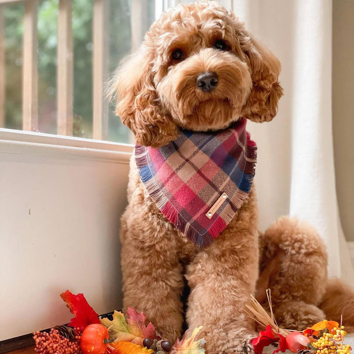 THE REESE - Dog Flannel Fray Bandana