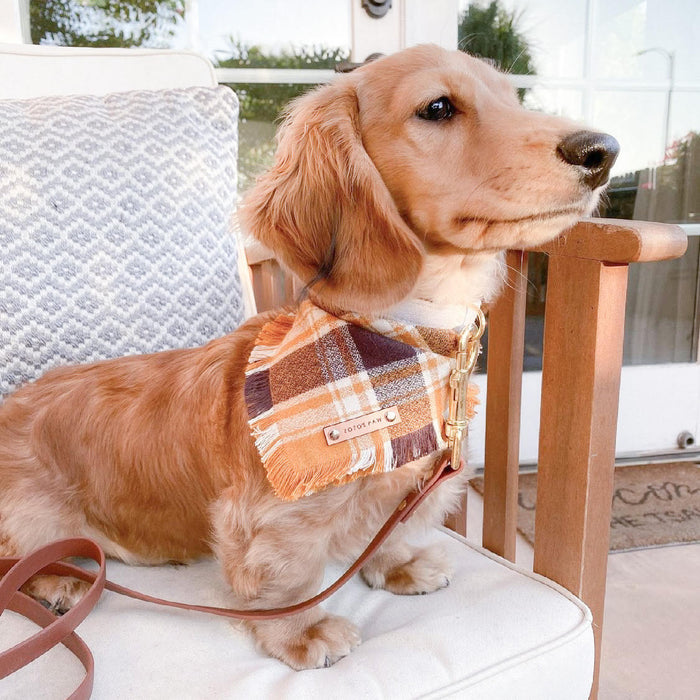 THE MAPLE - Dog Flannel Fray Bandana