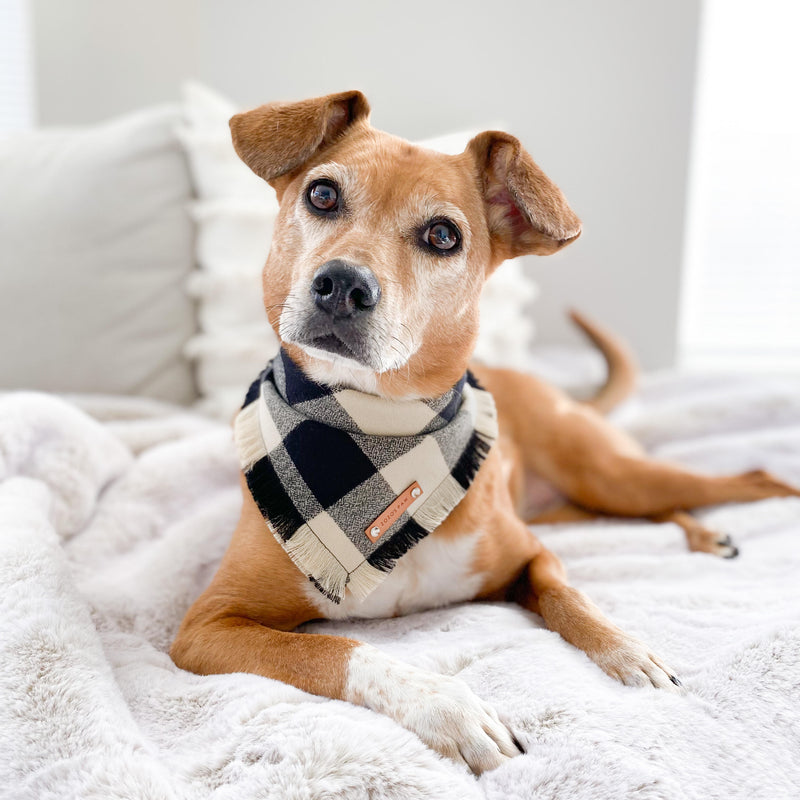 THE CALEB - Dog Flannel Fray Bandana