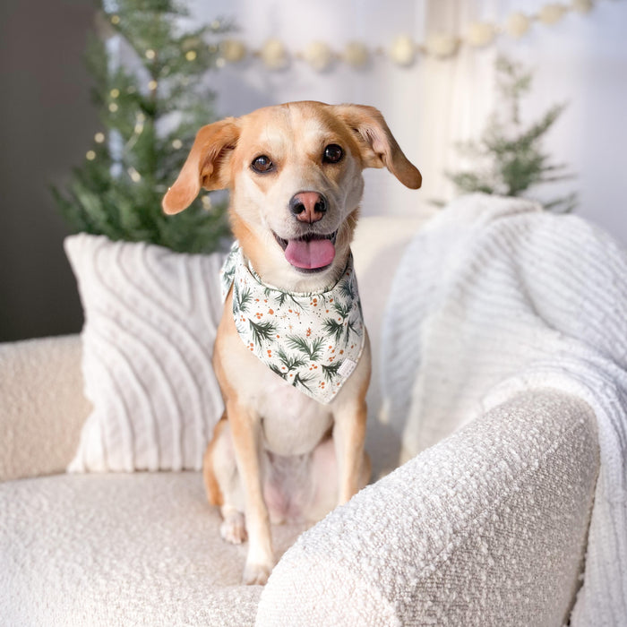 Pine Divine Dog Bandana