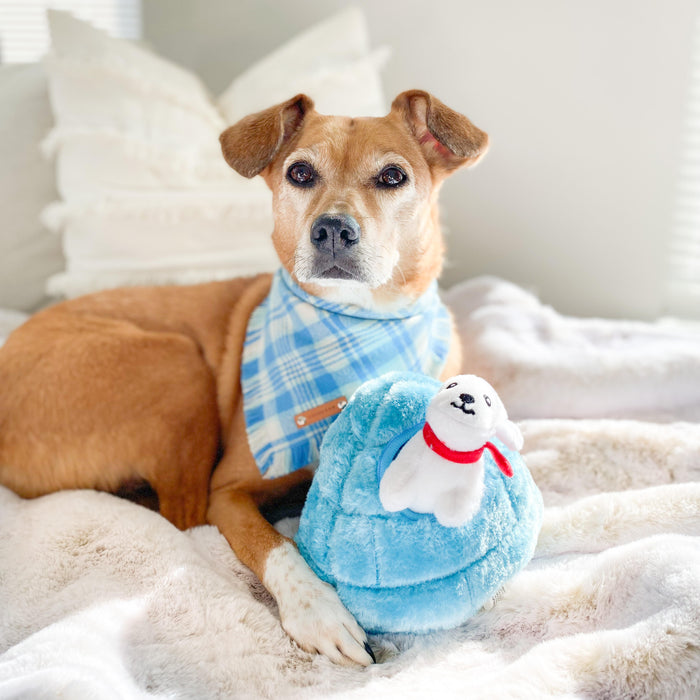 THE FROSTY - Dog Flannel Fray Bandana