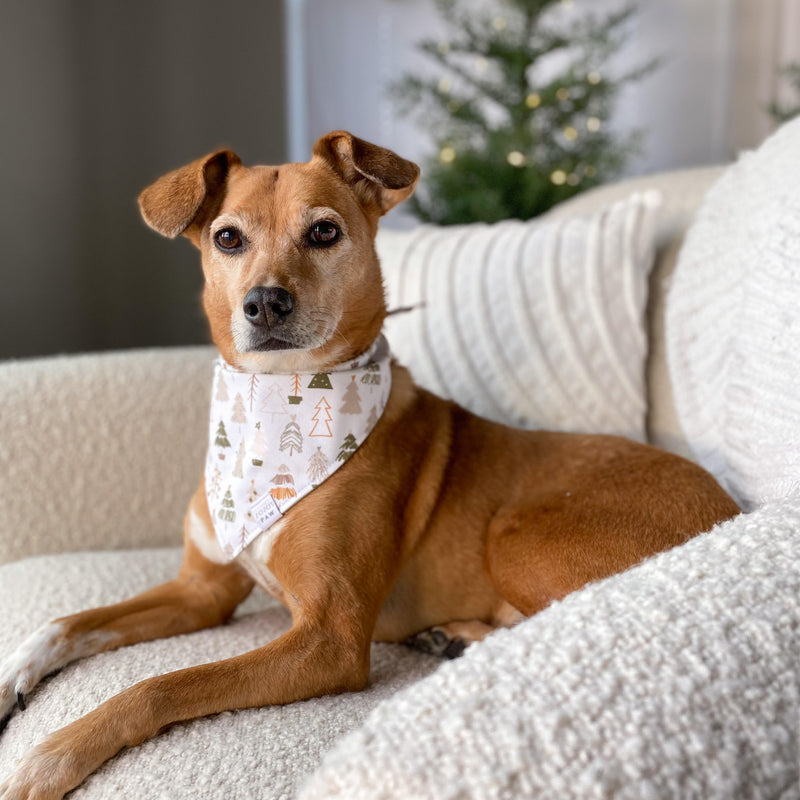 Festive Foliage Dog Bandana