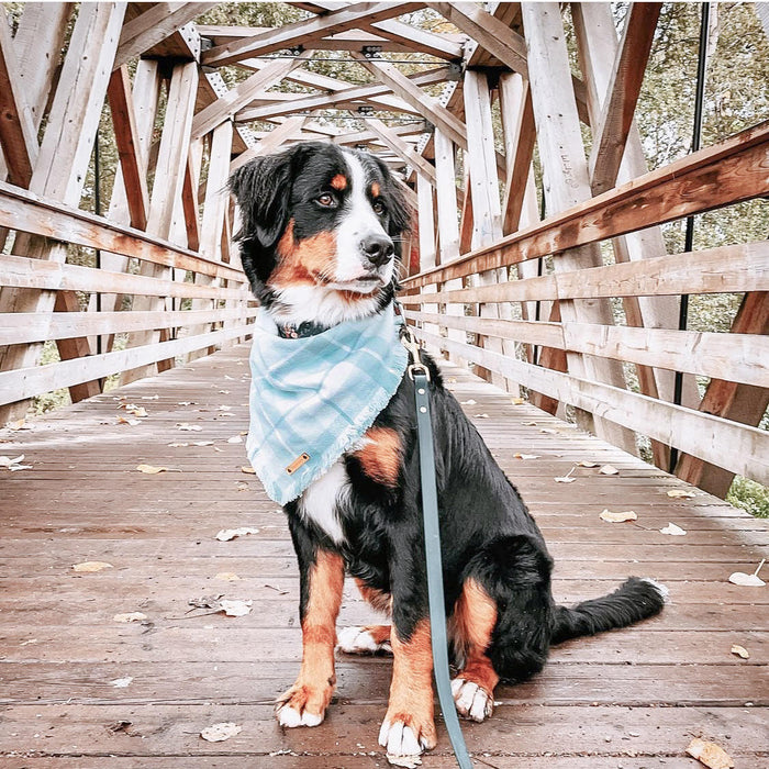 THE PACIFIC - Dog Flannel Fray Bandana