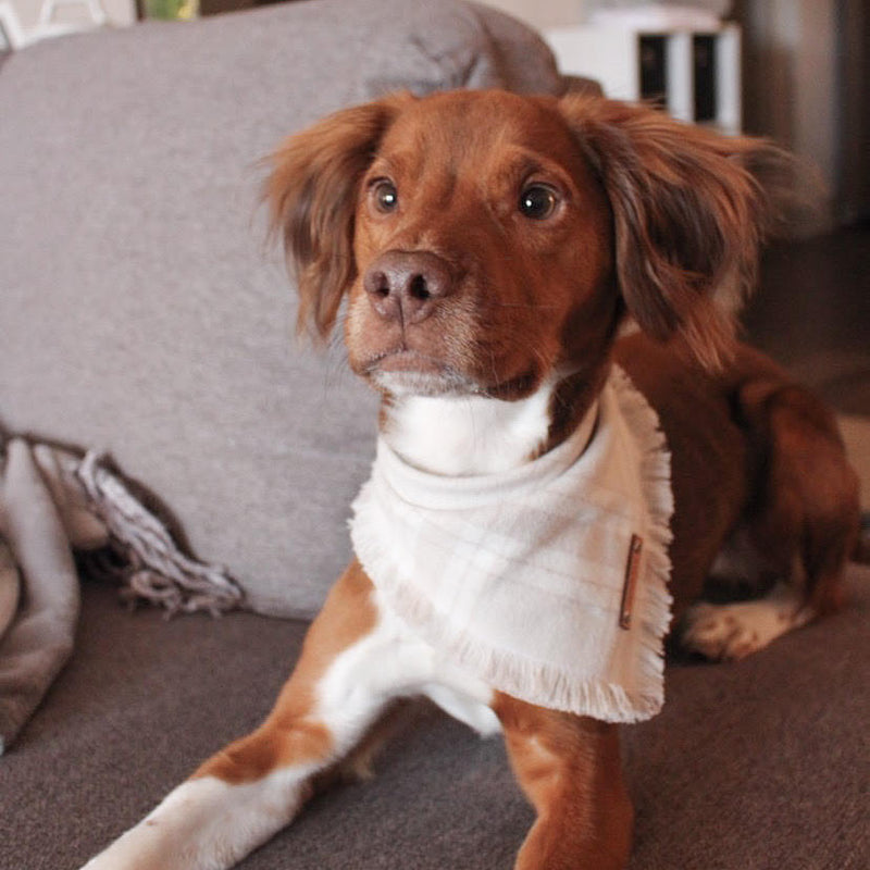 THE PEARL - Dog Flannel Fray Bandana