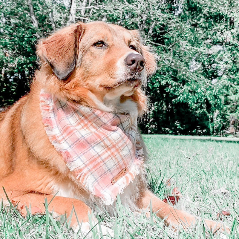 THE SHILOH - Dog Flannel Fray Bandana
