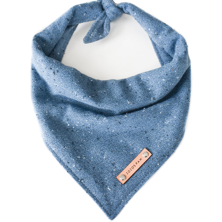 Starry Sky Dog Bandana