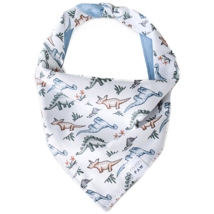 Dinosaur Dynamite Dog Bandana