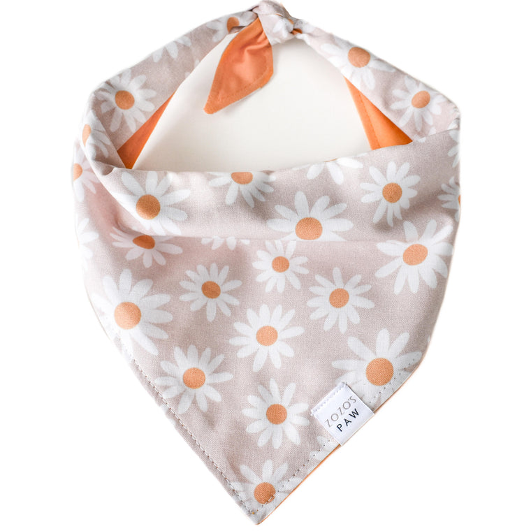 Daisy Daydreams Dog Bandana