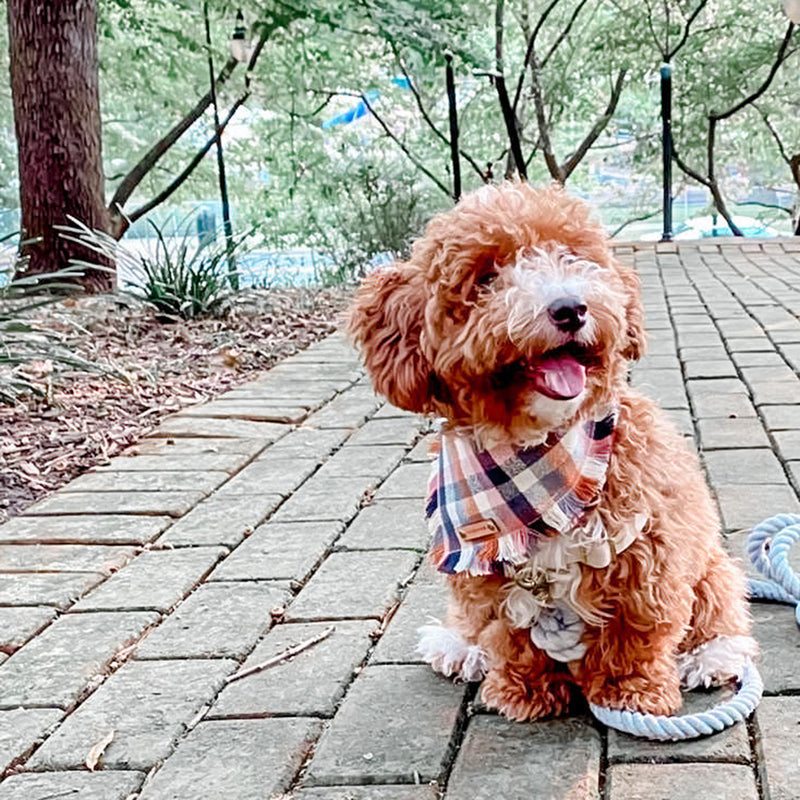 THE AUTUMN - Dog Flannel Fray Bandana