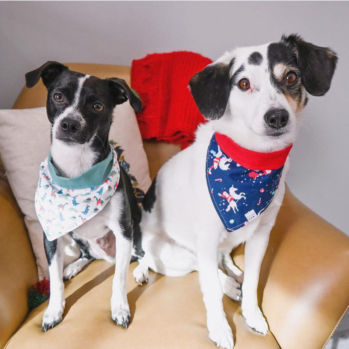 Cruising Claus Dog Bandana