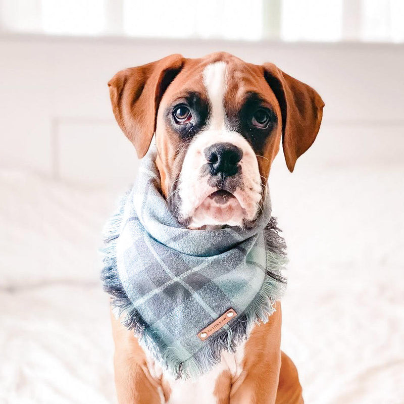 THE RUPERT - Dog Flannel Fray Bandana