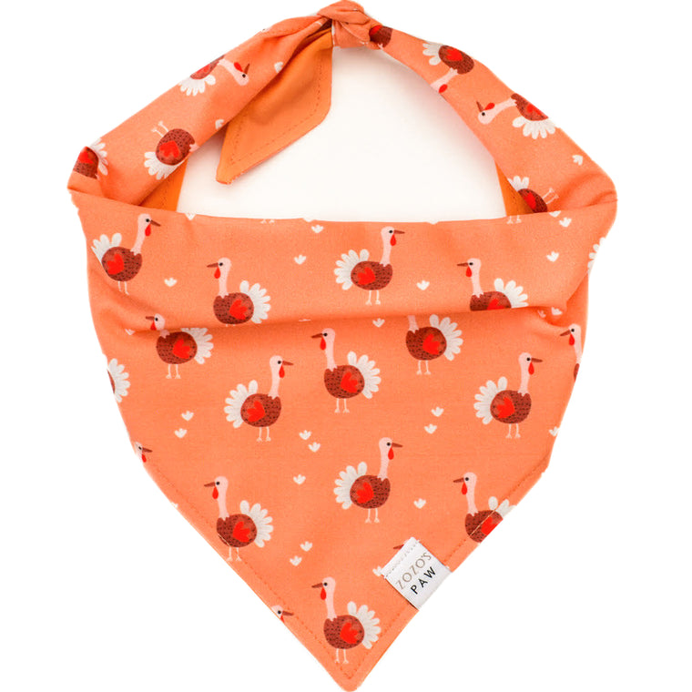 Turkey Time Dog Bandana