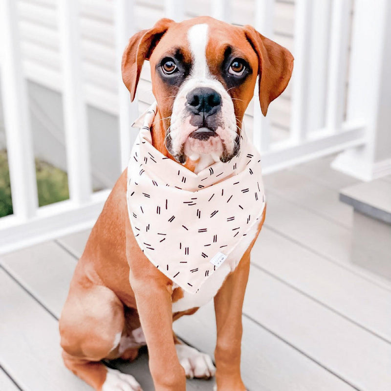 Modern Dashes Dog Bandana