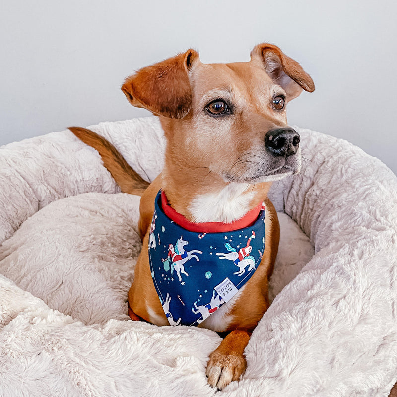 Cruising Claus Dog Bandana