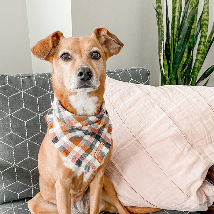 THE AUTUMN - Dog Flannel Fray Bandana