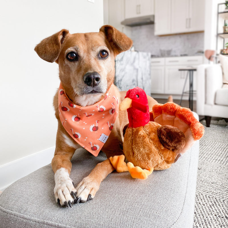 Tucker the Turkey Dog Toy
