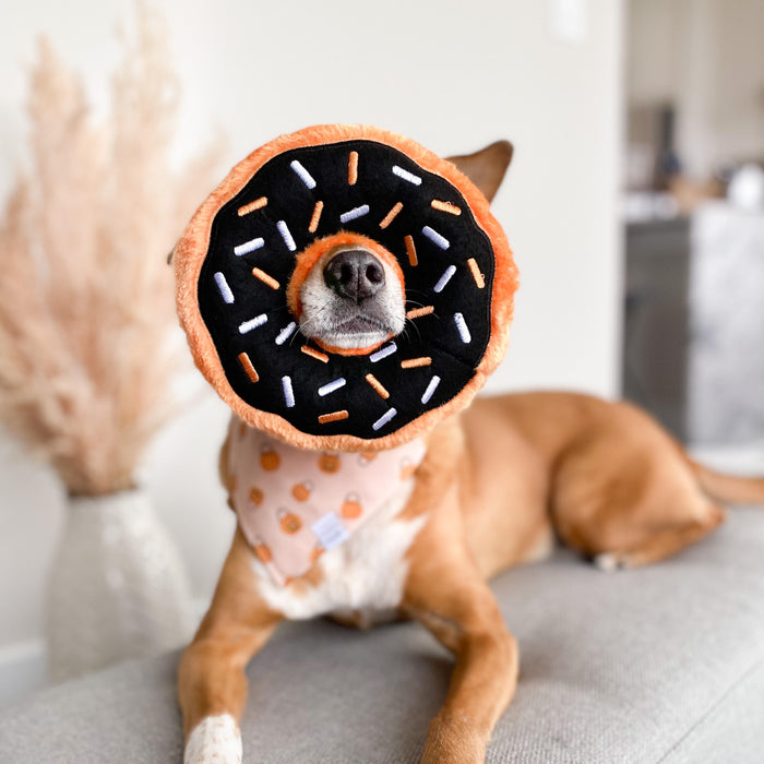 Pumpkin Spice Donut Dog Toy