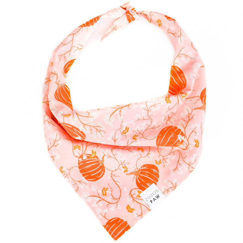 Fairy Tale Pumpkins Dog Bandana