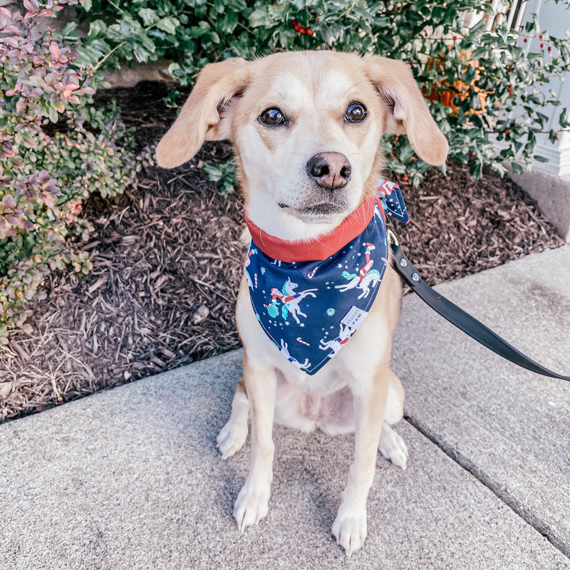 Cruising Claus Dog Bandana