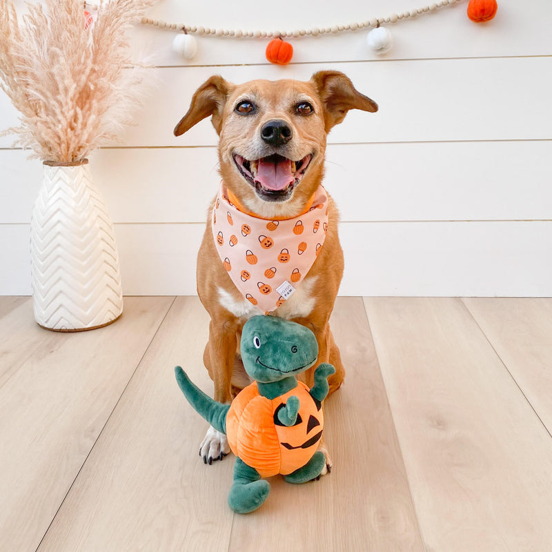 Halloween Pumpkin Dinosaur Dog Toy