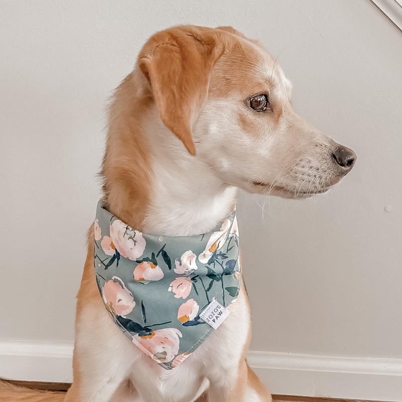 Take Center Sage Floral Dog Bandana