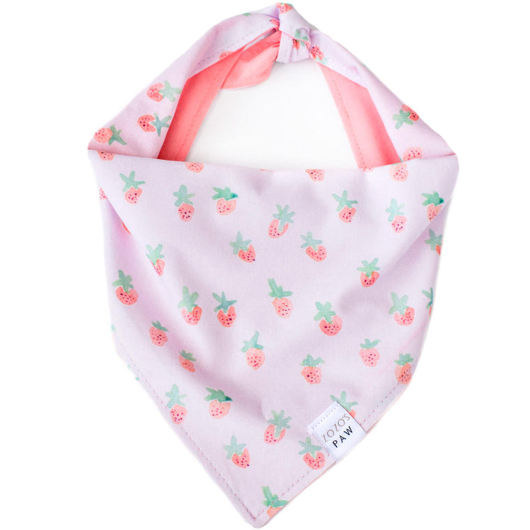 Strawberry Fields Dog Bandana