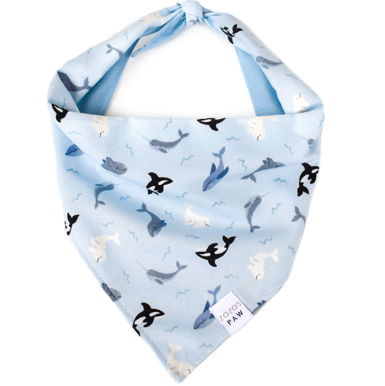Whale Wonders Dog Bandana